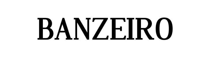 Dustismo Roman Bold  Free Fonts Download