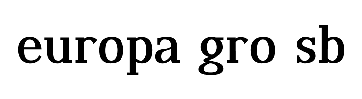 Dustismo Roman Bold  Free Fonts Download
