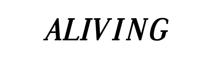 Dustismo Roman Bold Italic  Free Fonts Download