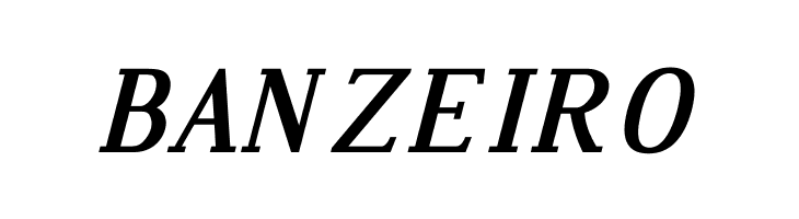 Dustismo Roman Bold Italic  Free Fonts Download