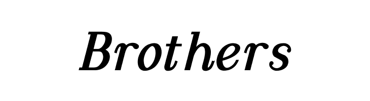 Dustismo Roman Bold Italic  Free Fonts Download