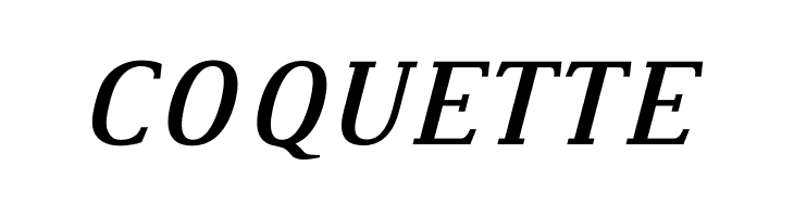 Dustismo Roman Bold Italic  Free Fonts Download