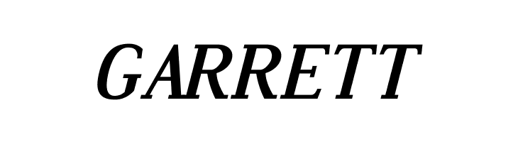 Dustismo Roman Bold Italic  Free Fonts Download