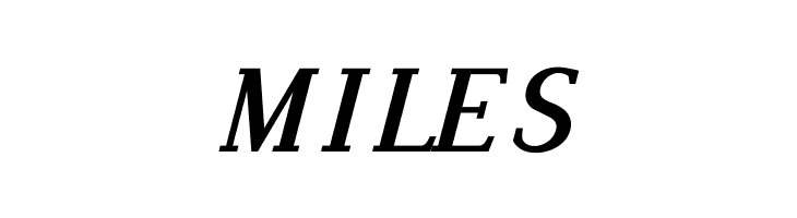 Dustismo Roman Bold Italic  Free Fonts Download