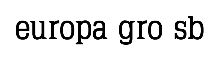 TypoLatinserif-Bold  Free Fonts Download