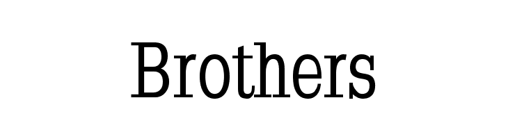 Napoleodoni-Bold  Free Fonts Download