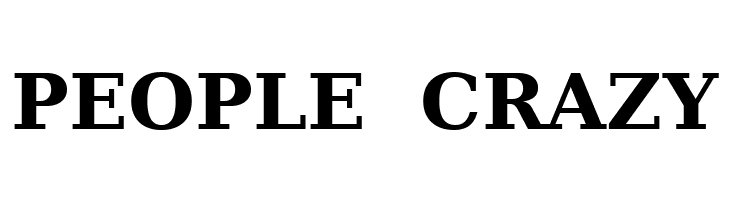 Bitstream Vera Serif Bold  Free Fonts Download