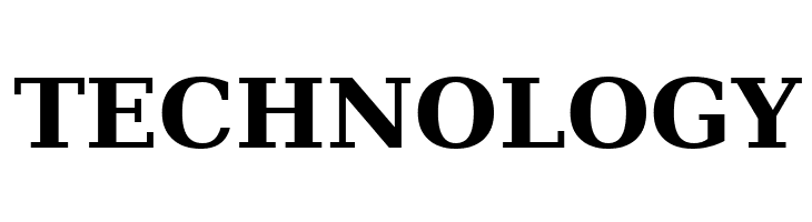 TECHNOLOGY Bitstream Vera Serif Bold Font