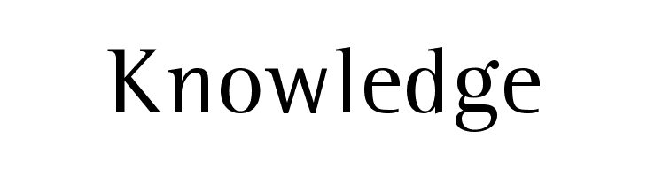 Leftist Mono Serif  Free Fonts Download