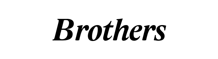 Lido STF CE Bold Italic  Free Fonts Download