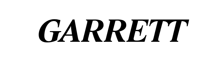 Lido STF CE Bold Italic  Free Fonts Download