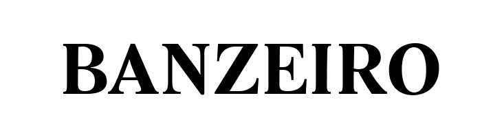 Lido STF CE Bold  Free Fonts Download