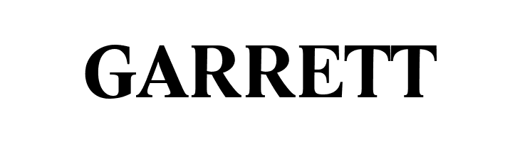 Lido STF CE Bold  Free Fonts Download