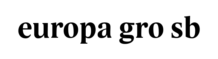 Lido STF CE Bold  Free Fonts Download