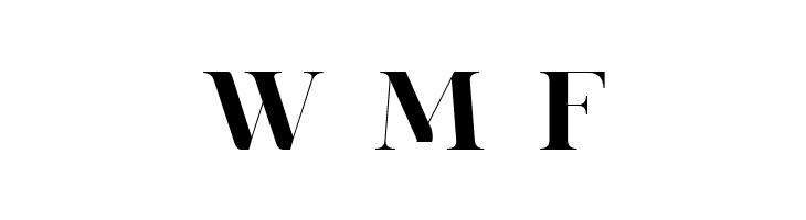spinwerad Bold  Free Fonts Download