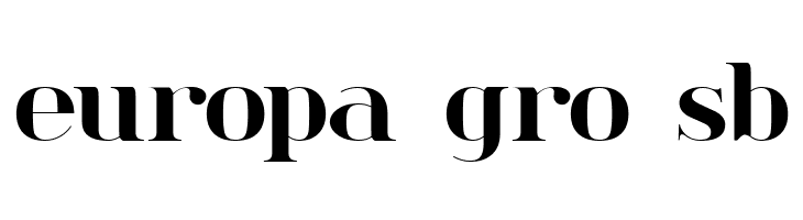 spinwerad Bold  Free Fonts Download