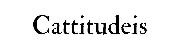 IM FELL Double Pica Roman   Free Fonts Download