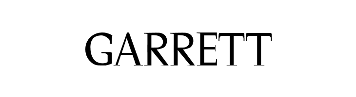 Magnificent  Free Fonts Download