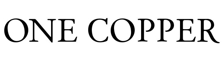 Day Roman  Free Fonts Download