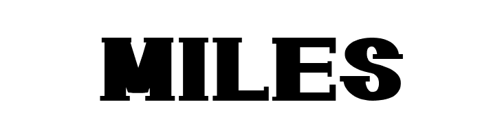 GeometricSerif  Free Fonts Download