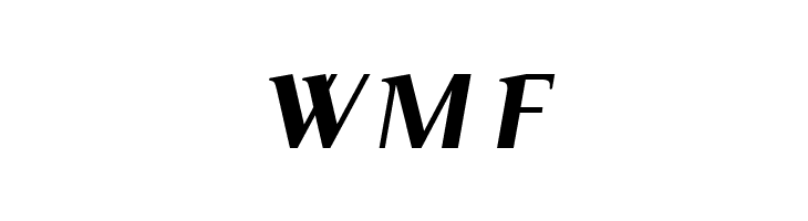 Serif Medium Italic  Free Fonts Download