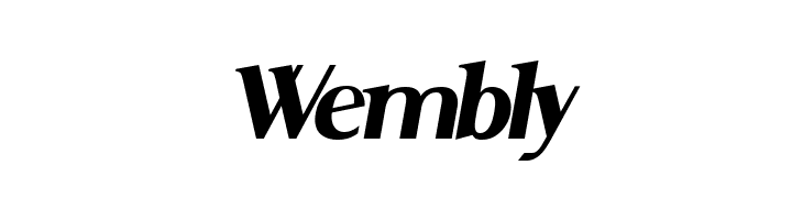 Serif Medium Italic  Free Fonts Download