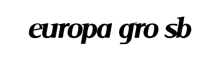 Serif Medium Italic  Free Fonts Download