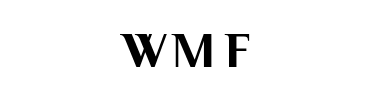 Serif Medium  Free Fonts Download