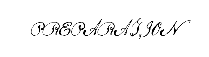 Schoon  Free Fonts Download