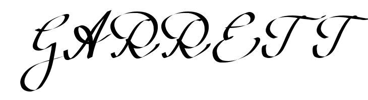 Wolgast Script  Free Fonts Download