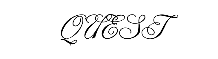 Champagne  Free Fonts Download