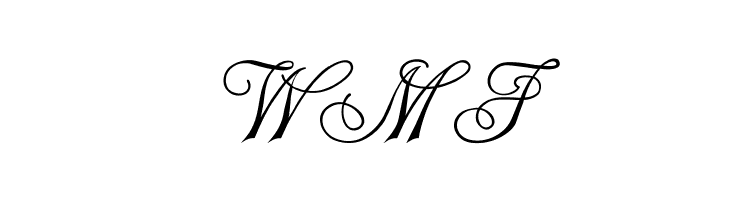 Champagne  Free Fonts Download