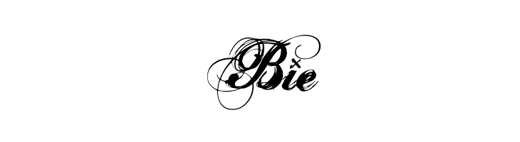 Hurricane  SupaDupaSerif  Free Fonts Download