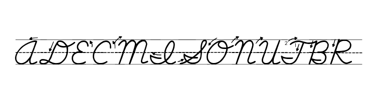 Life-Lessons  Free Fonts Download