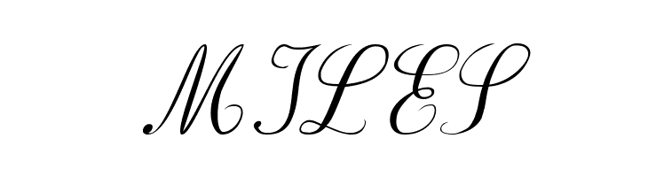 BV_Rondes_Ital  Free Fonts Download