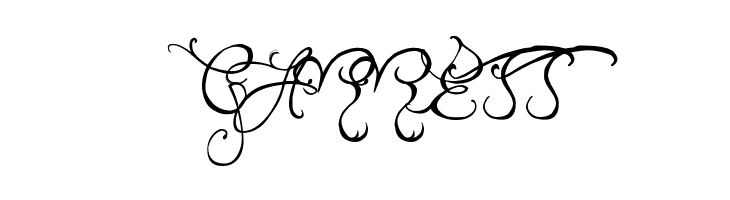 Edward's Wedding  Free Fonts Download