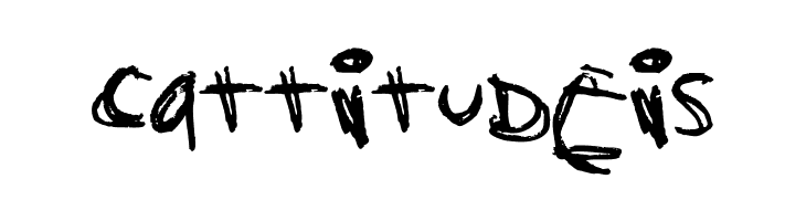 Orange Book  Free Fonts Download