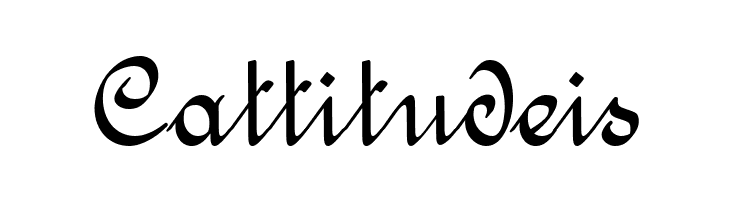 Amptmann Script  Free Fonts Download