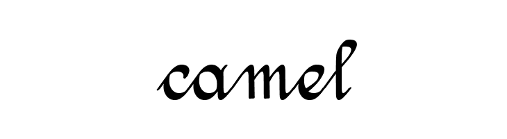 Amptmann Script  Free Fonts Download