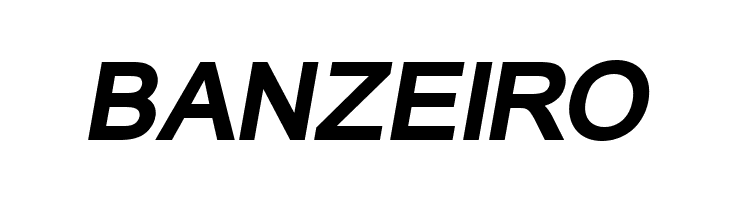 ER Univers KOI-8 Bold Italic  Free Fonts Download