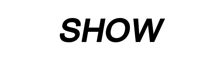 ER Univers KOI-8 Bold Italic  Free Fonts Download