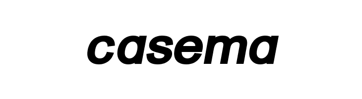 ER Univers KOI-8 Bold Italic  Free Fonts Download