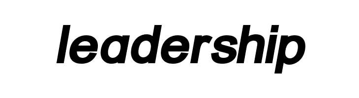 ER Univers KOI-8 Bold Italic  Free Fonts Download