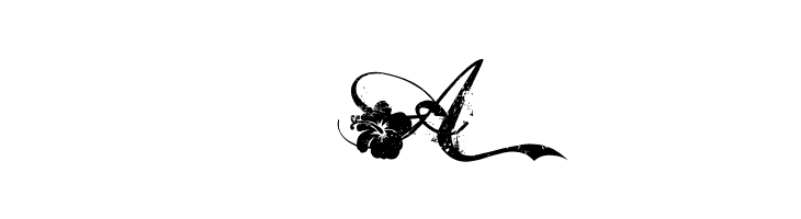 Hawaii Lover  Free Fonts Download