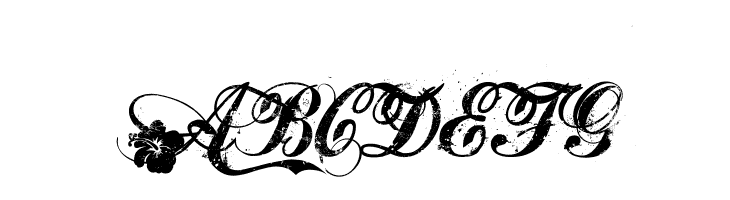 Hawaii Lover  Free Fonts Download