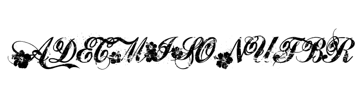 Hawaii Lover  Free Fonts Download