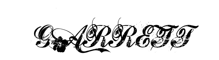 Hawaii Lover  Free Fonts Download