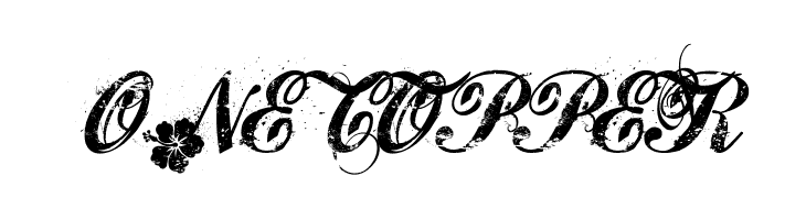 Hawaii Lover  Free Fonts Download