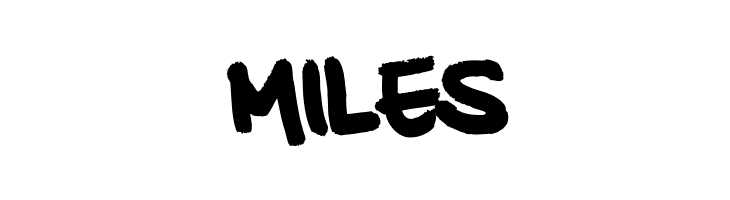 20 CENTS MARKER Bold  Free Fonts Download