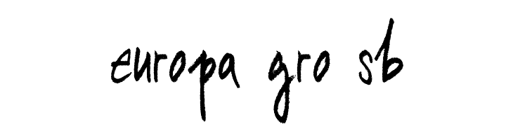 RodeoKing  Free Fonts Download